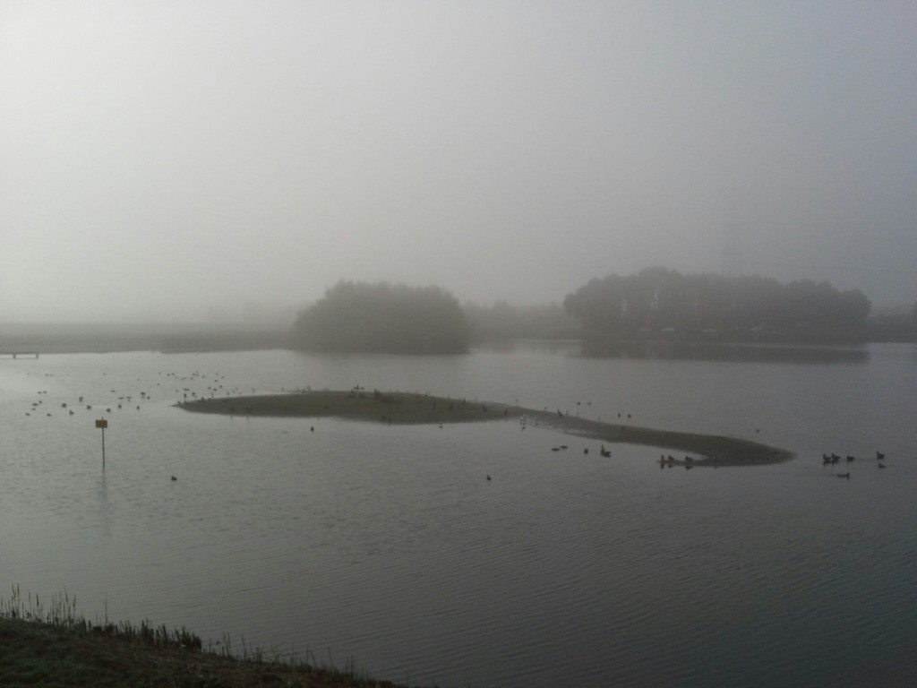 Leuke plek voor een CP?!