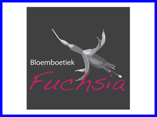 sponsor_fuchsia